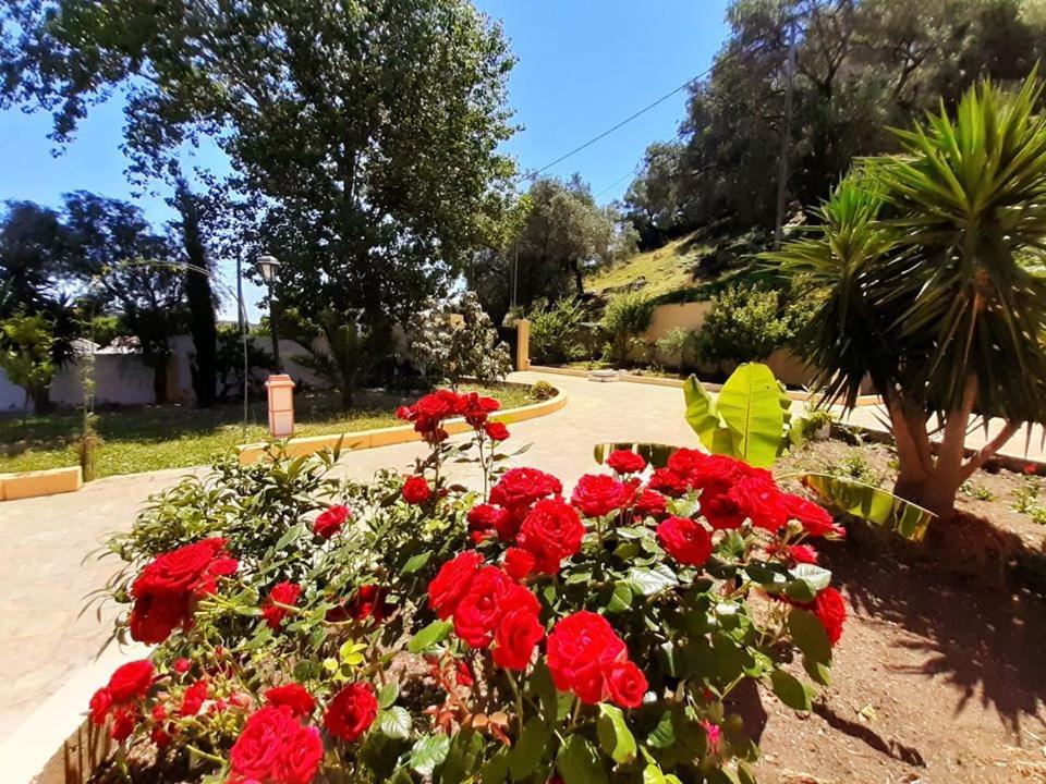 Villa Silvia Ágios Matthaíos Bagian luar foto
